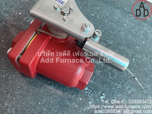 Rego 6010 6E19 Emergency Shut-Off Valve (9)